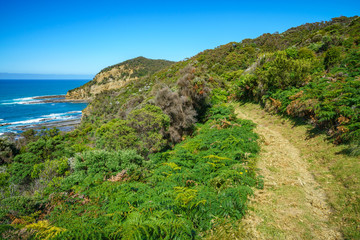 hiking the great ocean walk to milanesia beach, coast of victoria, australia