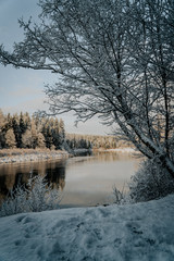 winter landscape with river and trees