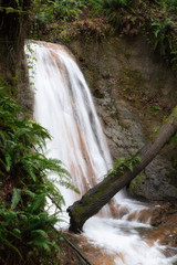 Obraz premium 2020-01-27 COAL CREEK FALLS IN THE COUGAR MOUTAIN REGIONAL PARK IN BELLEVUE WASHINGTON