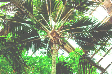 Blurred background perfect for green office or working from home. The concept of modern and comfortable space for person. Go greens. Copy space