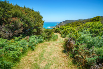 hiking the great ocean walk to milanesia beach, coast of victoria, australia