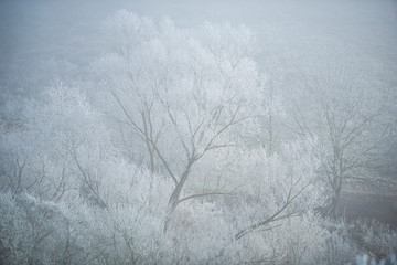 Amazing winter