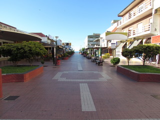 Fototapeta premium Tree-lined streets and buildings in the center of Monte Hermoso