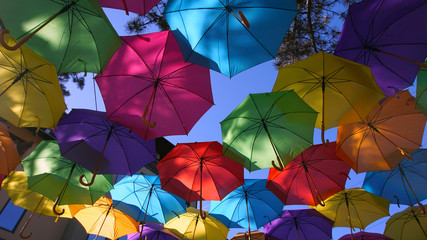 Umbrellas over the city