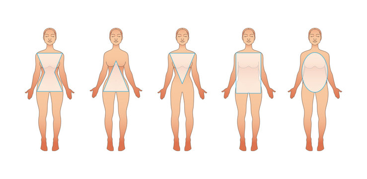 Types of female bodies. Hourglass, triangle, inverted triangle, round, rectangle. The physique of women