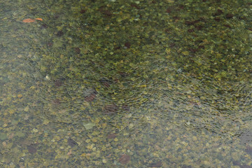 rainy season time reservoir calm water environment background with rain drops on surface, melancholy and depression picture