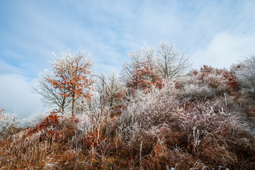 Hoarfrost winter landscape