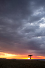 Naklejka na ściany i meble Dramatic cloud during Sunset at Masai Mara