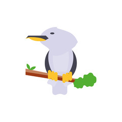 Cute australian bird vector design