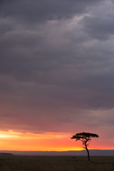 Beautiful Sunset at Masai Mara