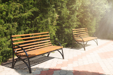 Fototapeta premium Garden benches in the sun.