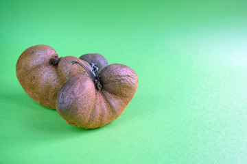 Ugly vegetable organic kiwi on a green background.  Horizontal orientation.