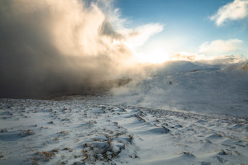 Wild Highlands