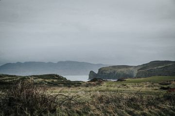 a field of atlantic ocean and rocks in the background