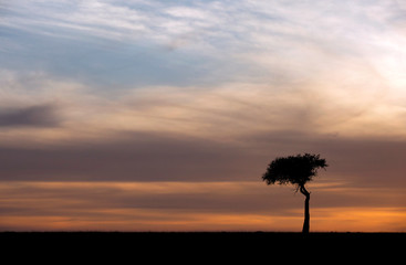 Sunrise at Masai Mara, Kenya
