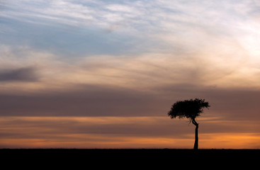 Fototapeta na wymiar Sunrise at Masai Mara, Kenya