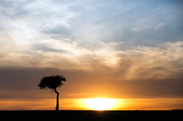 Fototapeta na wymiar Beautiful morning at Masai Mara