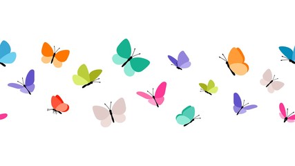 Color flying butterflies seamless pattern. Beautiful insects isolated on white background. Spring summer seasons butterfly vector border design - obrazy, fototapety, plakaty