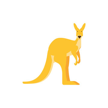 Cute australian kangaroo vector design