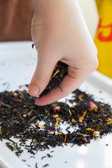  tea leaf in hand and on white background