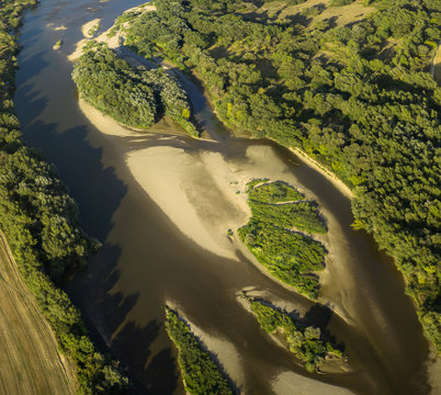 The poor state of water in the river revealed sand deposition. River bed in the forest vegetation. 
