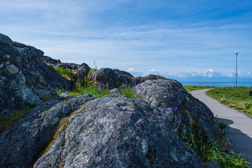 Rocky Hill Along Path