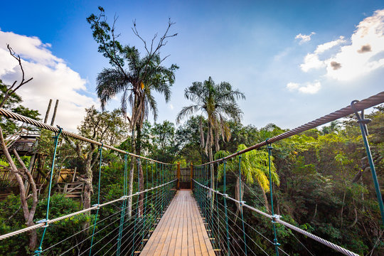 Bridge over Cassorova waterfall, Brotas City, S&atilde;o Paulo - Brazil