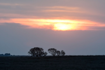Fototapeta na wymiar Pampas sunset landscape, La pampa, Argentina
