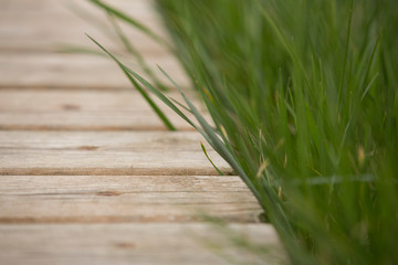 Lawns