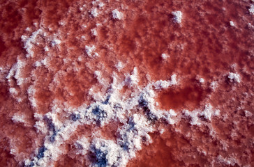 white and red crystals of salt in water