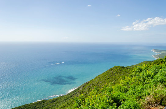 Green Coastline At The Foot Of The Cliff