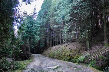 Paisajes en la subida al monte Adarra del País Vasco