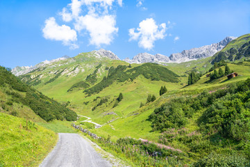 Idyllic summer landscape in the Alps