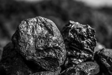 Coal mining industry. Natural black coals for background. Coal in the miner  hands. Volcanic rock.