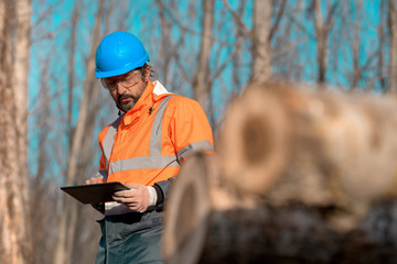 Forestry technician using digital tablet computer in forest