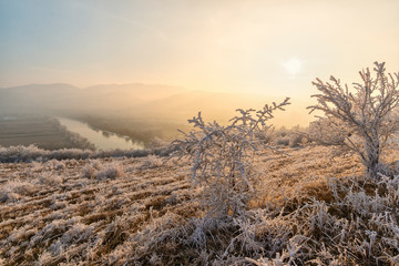 Winter landscape with rime on the tree