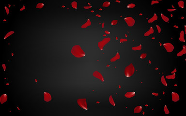 Fototapeta na wymiar Falling red rose petals seasonal confetti, blossom elements flying isolated. Abstract floral background with beauty roses petal. design for greeting cards on March 8, Women Day, Valentine's Day.