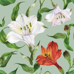 Floral watercolor seamless pattern with red and white alstroemeria flowers and buds