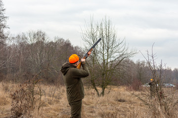 Hunter aiming the hunt during the hunting season. Hunting dogs waiting for the shot