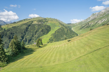 Fototapeta premium Idyllic summer landscape in the Alps