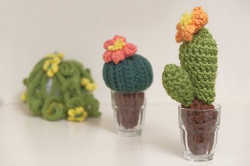 Fat plant handmade with wool and recycled materials