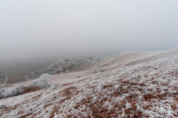 Fog winter landscape