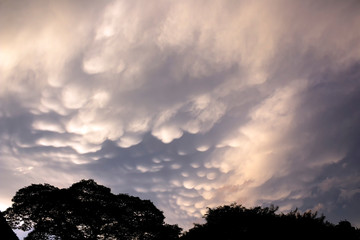 Céu  Nuvens IMG_5569