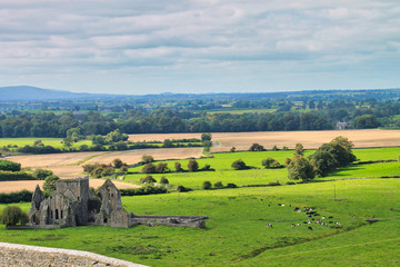 Fototapeta na wymiar Rural Landscape in Ireland