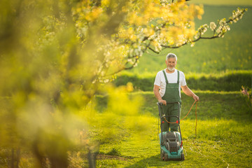 Portrait of senior man gardening, taking care of his lovely orchard, ejoying actively his retirement
