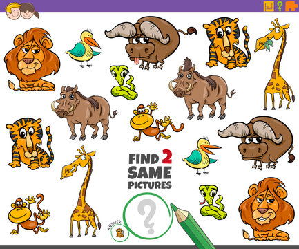 find two same animals educational game for kids