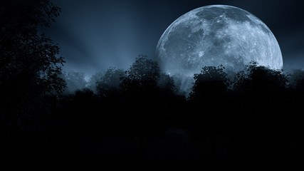 Fototapeta na wymiar Moon at night in fogy forest
