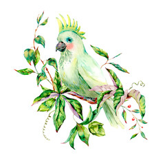 Watercolor white parrot summer greeting card with flowers, leaves