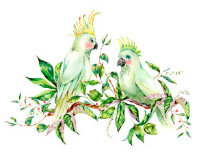 Watercolor pair of white parrot summer greeting card