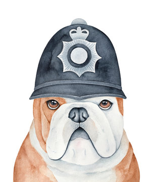 English bulldog character wearing black police helmet headgear with metal crown and star badge. Hand painted watercolour sketchy drawing on white background, cutout element for design decoration.